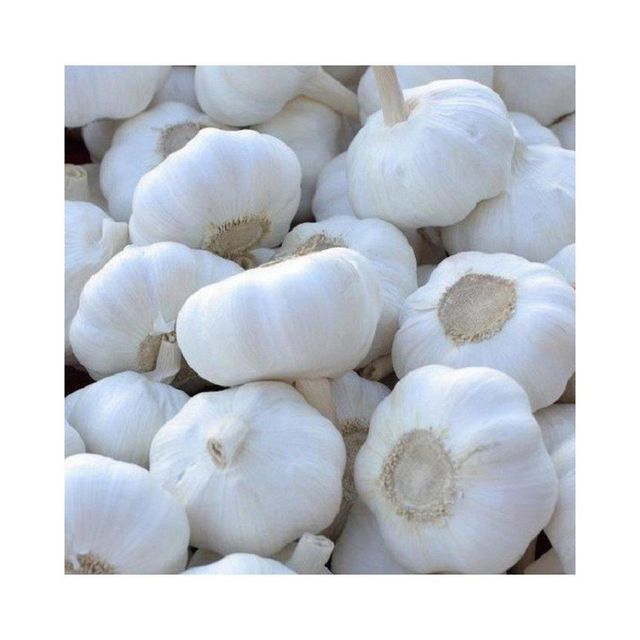 Cheap price white Fresh Garlic with uniform size and premium quality - Image 4