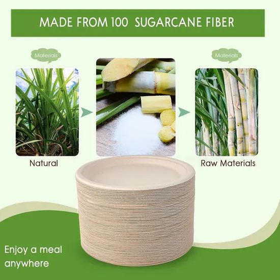 Biodegradable Disposable Tableware for Outdoor Barbecues Origin China HS Code 48236910 Trademark OEM/ODM Printing - Image 3