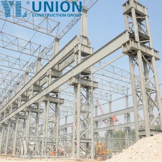 Multi-Level Steel Structure Poultry Farming Facilities - Image 5