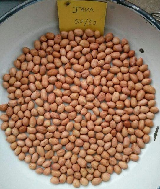 Carefully Sorted Dried Peanut Kernels From Tanzanian Groundnuts With Vacuum Packing For International Wholesale - Image 1