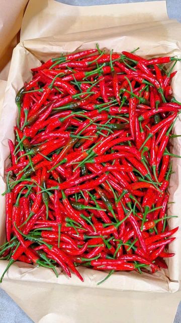FRESH CHILI - Image 2
