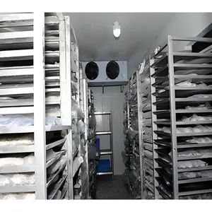 Best Customized Commercial Fruit and Vegetable Cold Room Storage Freezer - Image 3