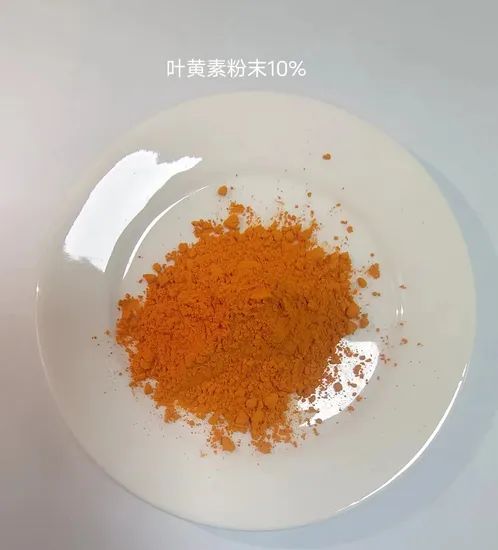 Tagetes Erecta Marigold Lutein Powder for Eye Health - Image 4