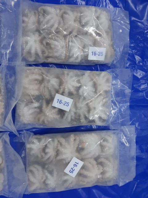 Baby Octopus Whole Cleaned 30% Glaze Tray Pack Flower Setting 16/25-1500 cs 26/40-500 cs 12x2lb - Image 3