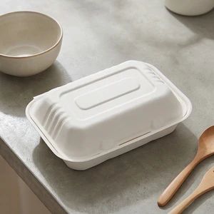 Disposable Food Container Food Box Lunch Box for Delivery Model NO. HS-B102B HS Code 4823700000 Origin Guangdong, China Package Gross Weight 11.000kg - Image 1
