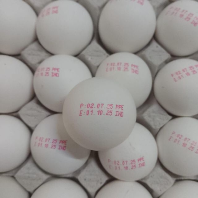 chicken eggs Type medium Packaging - Image 1
