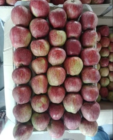 Fresh Apple - Image 3