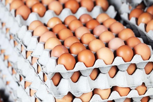 Brown Hatching Eggs High Quality Fresh Farm Eggs Wholesale Supplier Available Now - Image 4