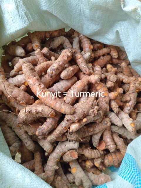 Fresh Turmeric - Image 3