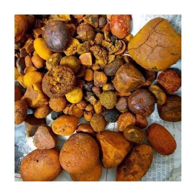 Natural and Pure top Quality Ox Gallstones Cattle Gallstones Cow Gallstones Buy Cow Gall Stones for sale - Image 3