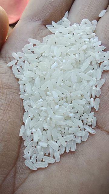 White rice Features No Preservatives - Image 1