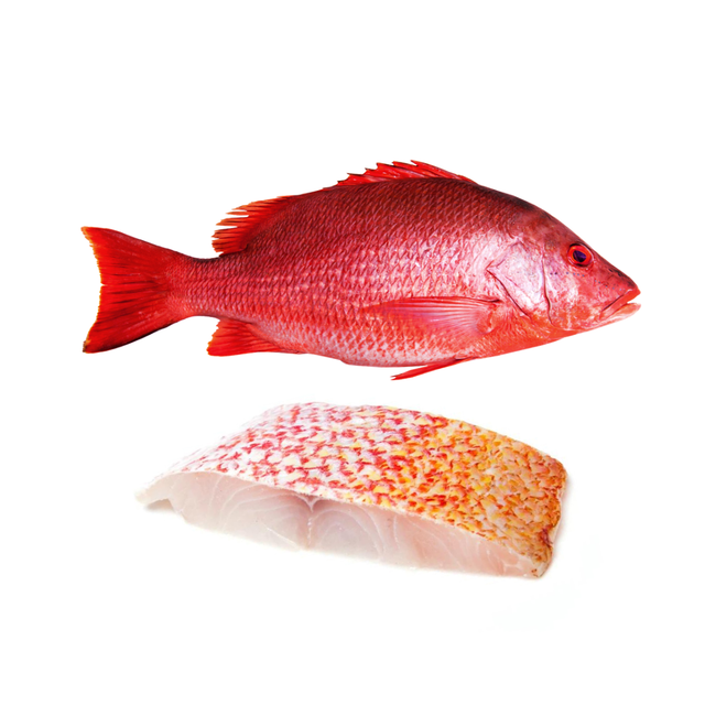 Frozen Wild Caught Fillet Skin On Natural Red Snapper Indonesia Seafood Best Quality - Image 1