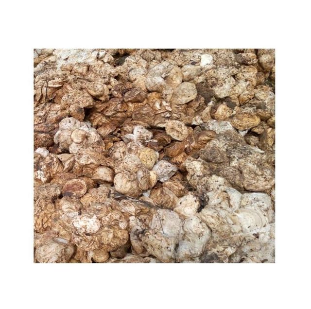 Natural Rubber SVR3L / Rubber Cup Lump/ Raw rubber - Image 5