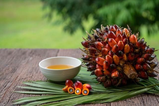 Refined Edible Palm Oil for Large Volume Food Manufacturing and Commercial Kitchen Processing - Image 1