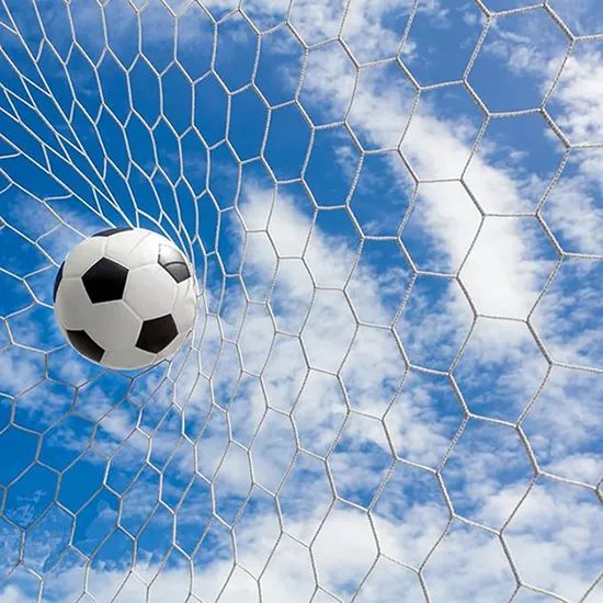 Durable Football Training Net for Versatile Skill Development - Image 5