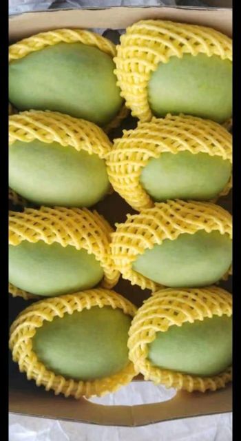 fresh fruits mango,pineaplle,guava,soursop,leci Color Vibrant Texture Crisp Origin Indonesia Flavor Sweet, Fragrant, And Rich In - Image 4