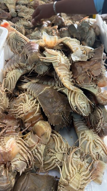 Squid, shrimp, cuttlefish, baby octopus, meat slipper lobster - Image 3