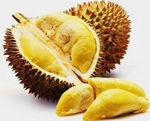 FRESH DURIAN/ DRIED DURIAN/ FROZEN DURIAN Shelf Life 2 YEARS Place of Origin THAILAND - Image 1