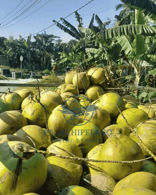 green coconut / fresh coconut / coconut water - Image 3