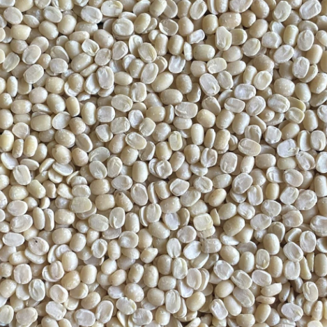 White Urad - Image 4