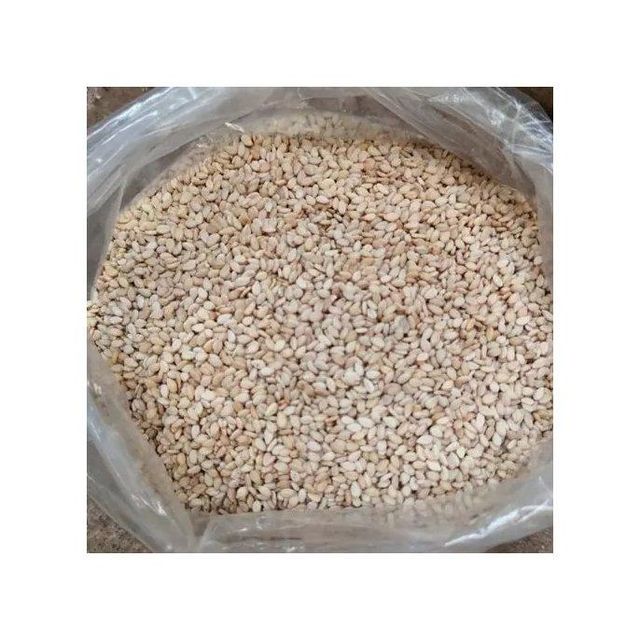 natural white sesame seeds for cooking and oil extraction high quality seeds with uniform size smooth texture and high nutritional value suitable for sesame oil production baking and seasoning applications - Image 3
