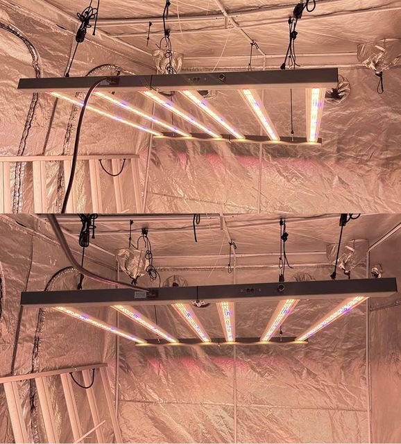 4x4 Eco 720W LED Grow Light for Indoor Cultivation Light Source LED - Image 4