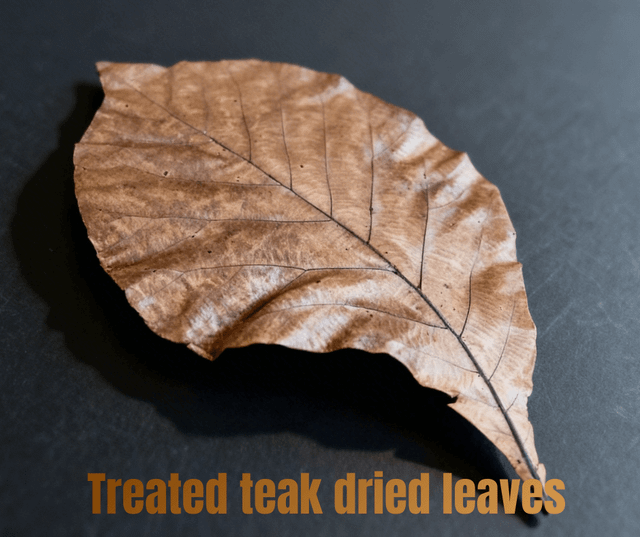 Teak Leaves Material Teak Dried Leves Moisture Regulation Moisture Regulation Thermal Insulation Passive Thermal Insulation - Image 2