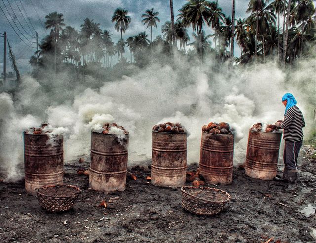 Coconut Shell Charcoal – Activated Carbon Grade Color Other Delivery Form Other Features Organic, Without Additives - Image 1