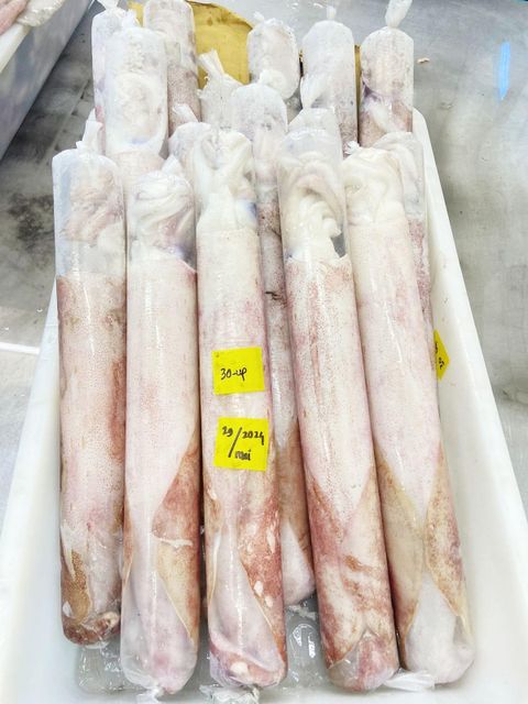 Squid Loligo IQF, IWP Type Frozen Grade Premium Shape Whole Round Processing Type IQF Content 100% Net Weight Place of Origin - Image 3