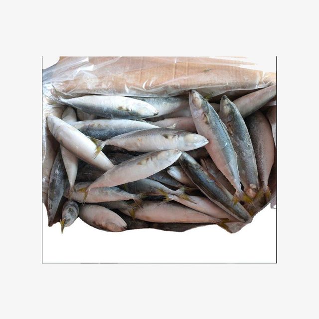 Cheap Price Frozen Sardine Fish Bulk Supply Cut Other Features Organic Freshness Level Frozen Degree of Processing Cured - Image 3