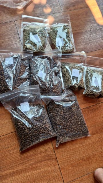 Wholesale Coffee Beans Grade 1 - 3 Arabica and Robusta Green Beans Origin East Java and Central Java - Image 2