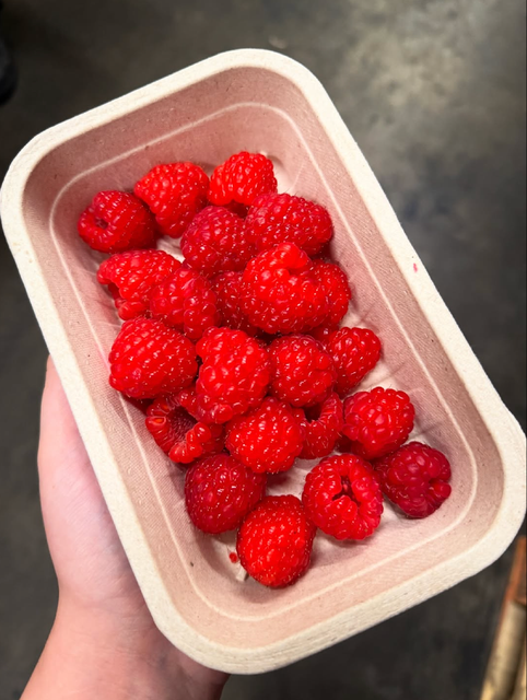 EXCEPTIONAL FRESHNESS RICH AROMA RASPBERRIES NATURALLY SWEET TART TASTE 170g FRESH BERRIES PACKS ON SALE - Image 2