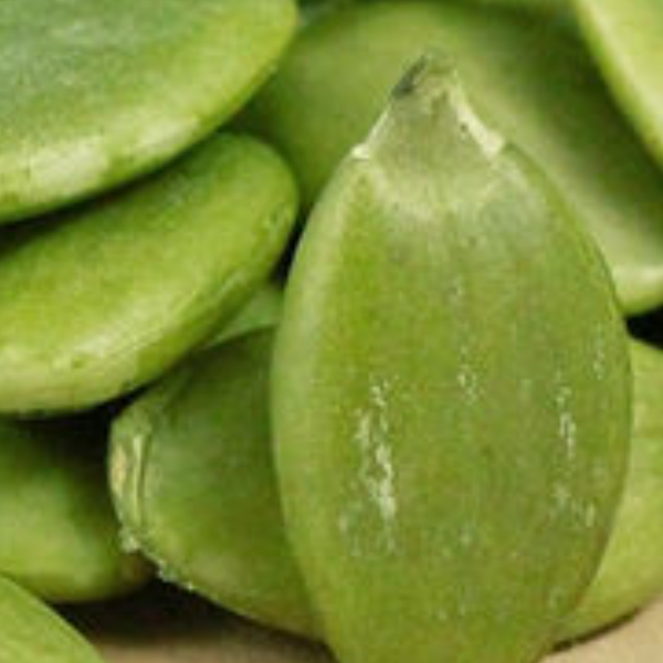 Premium Quality Organic Dried Food Grade Pumpkin Seeds 11mm-15mm for Sale Pumpkin Seed Kernels - Image 1