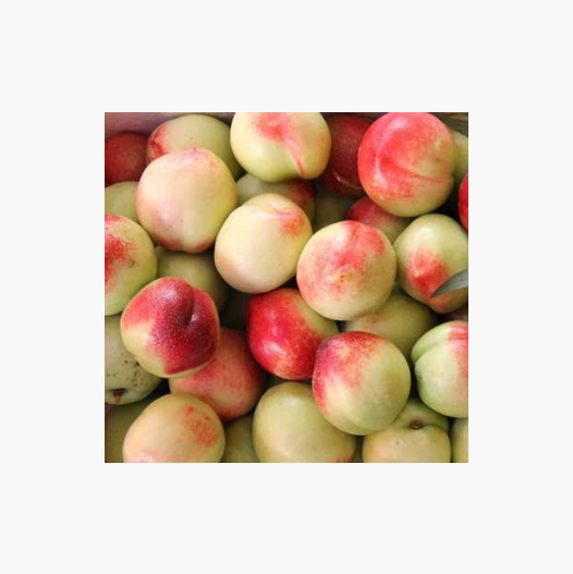Fresh Peaches & nectarines Grade A Type PEACH Style Fresh Weight (kg) 18 Variety Nectarine Brand Name Custom Shelf Life 1 - Image 3