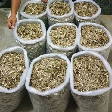 High Quality Dried Small Fish (Tiny Anchovy) From Thailand Form Whole Organic Yes Origin Worldwide, thailand Delivery Form Bag, Baskets, Sacks - Image 2