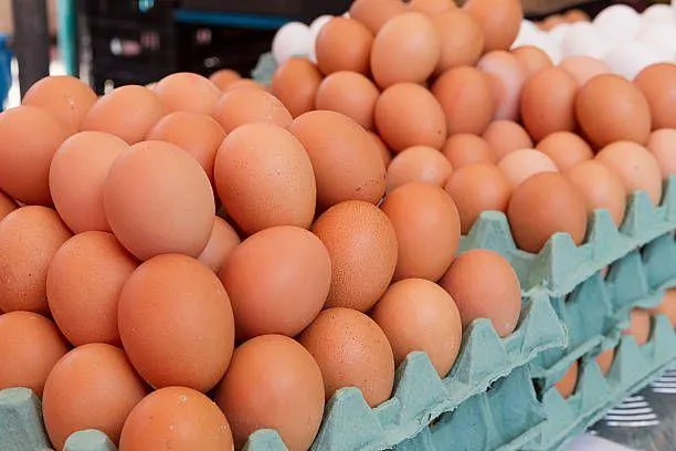 Fresh & Preserved Brown and White Chicken Eggs Grade A Size 5 G Part White Type BROWN Style Fresh Length 3 Cm Content None - Image 5