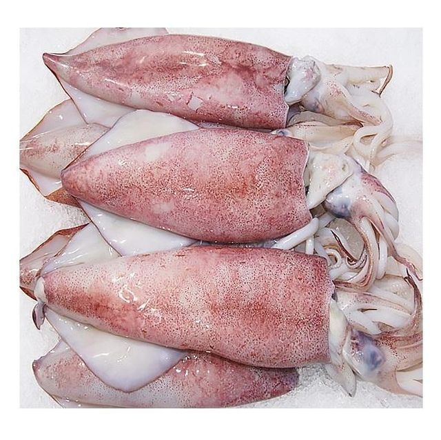 Good Quality Cheap Price Frozen Whole Loligo Squid For Export - Image 1