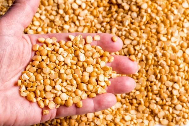 Premium Export Quality Yellow Lentils (Whole/Split) — Bulk Supply for Food Processing & Retail - Image 4