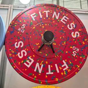 Custom Logo Rubber Fleck Weight Plates for Free Weight Training - Image 3