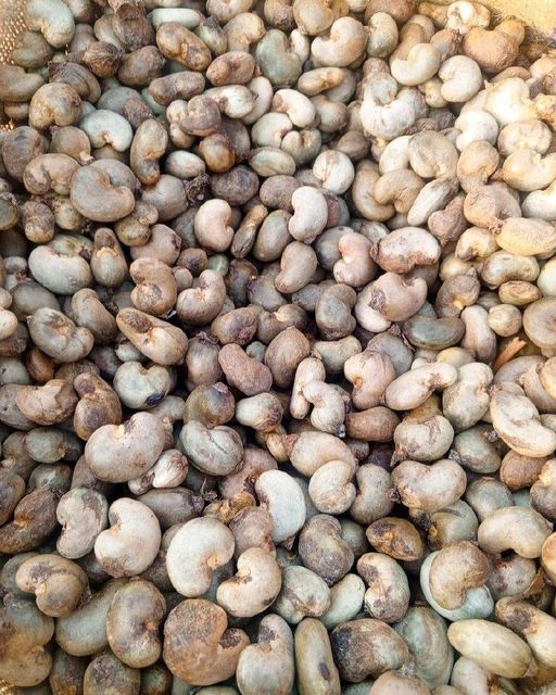 Raw Cashew Nuts - Image 3