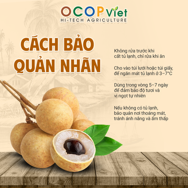 Nhãn IDO - IDO Longan Brand Name OCOP Viet Place of Origin Vietnam Packaging Details - Image 2