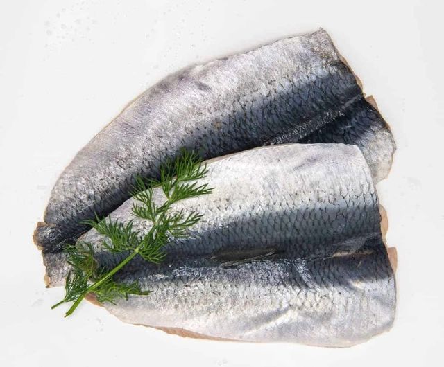 Buy Wholesale French Frozen Atlantic Herring (clupea Harengus) / Cheap Prices Frozen Herring Fish / Seafood - Image 3