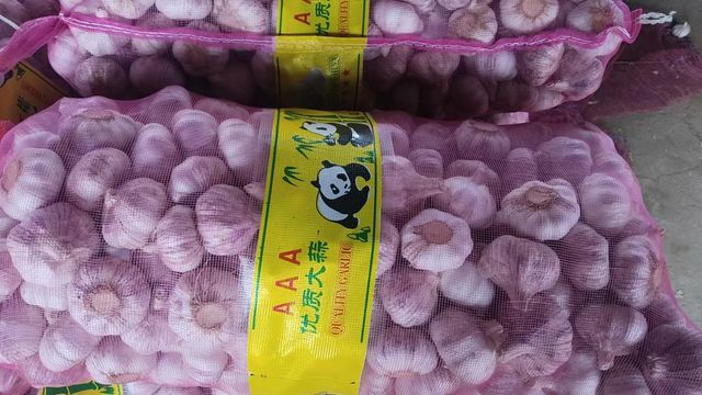 ginger garlic - Image 1