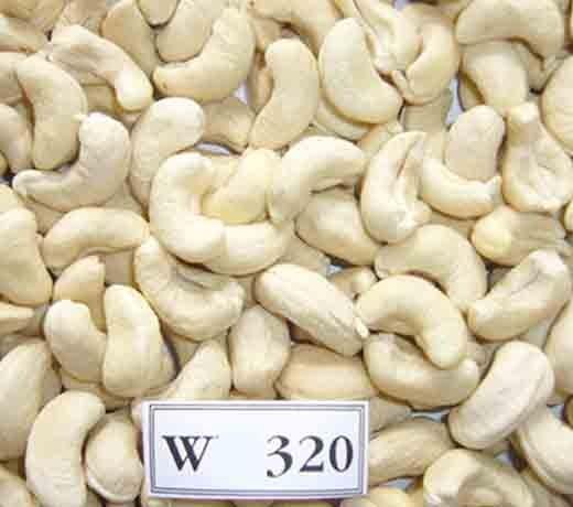 Hot Selling- Raw Cashew Nuts /Vietnamese Cashew Low Price - Wholesale Roasted Cashew Nut Export Free Taxes - Image 1