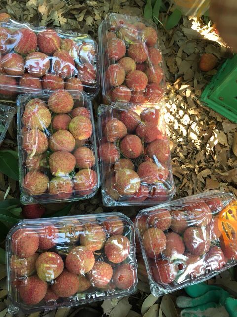 Fresh Lychee from Vietnam with high - quality product good price for export - Image 5