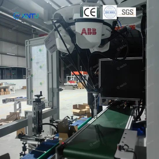 Delta Spider Robotic Arm Packing Machine with ABB Robot Case Packer for Zipper Pouch Bags - Image 4