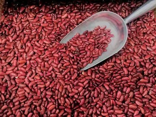 Wholesale Ethiopian High Quality Cream Beans Fresh Kidney Red and White Beans Common Cultivation Type - Image 2