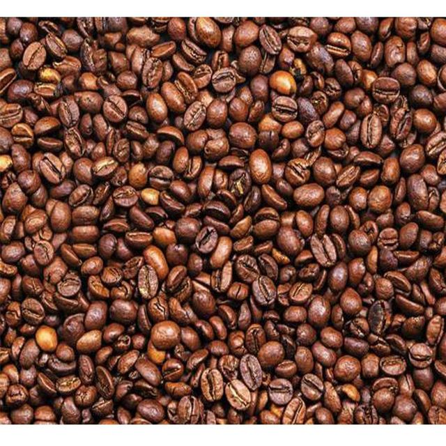 Premium Robusta Coffee Bean Export Quality Robusta Coffee Bean Bulk Supply For Roasters Traders And Wholesale Buyers - Image 4