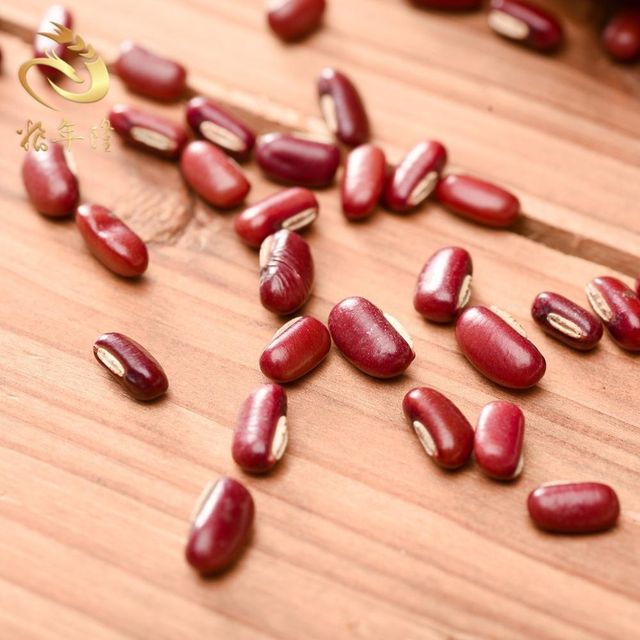 Bulk Export Supply Sorted Kidney Beans In Vacuum Packs With High Quality Processing For International Wholesale - Image 3