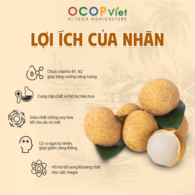 Nhãn IDO - IDO Longan Brand Name OCOP Viet Place of Origin Vietnam Packaging Details - Image 3